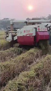 # dhaner fasal Dhan Kata machine