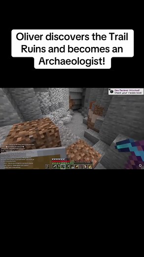 So many suspicious blocks were destroyed… About Oliver y t #minecraft #foryou #fyp #blindplaythrough #aboutoliver