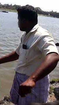 This Illegal Fishing Trick Catches Mullet Like Crazy! (Water Bottle + Maida Bait) #Mullet