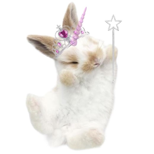 #princess #unicorn #bunny #kitten #angel | princess unicorn bunny kitten angel