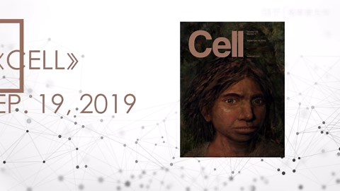 《CELL》期刊封面图鉴赏：2019年合集