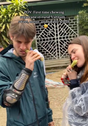 Experience the Sweetness of Sugarcane in Vietnam