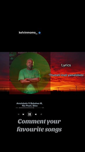 Indlondlo Yamapiano on TikTok