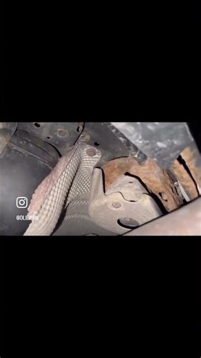 in dem Video siehst du die häufigste Problem Stelle: Das Differential Lager. E46 rear clunk Geräusch