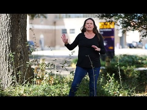 Get It Growing: Why do I have live oak suckers?