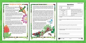 Rainforest Calling - Diary Entry Reading Comprehension KS2 Activity