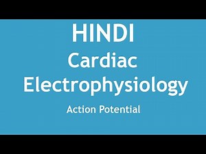 Cardiac Electrophysiology (Action Potential) [HINDI] | Dr. Shikha Parmar