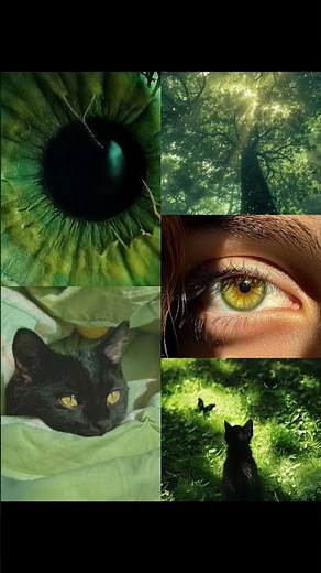 How Rare Is Your Eye Color.... Really? 👁️