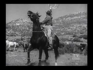 Ranger Cory Lassie (season 11 Eps.11 Nature's Way)