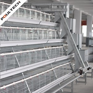 [Hot Item] Poul Tech a Type Battery Cages for Poultry Chicken Layer Automatic Battery Cage System Layer Chicken