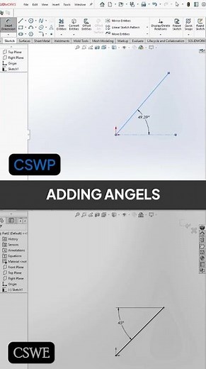 CSWP vs CSWE