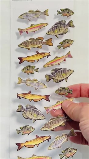 21 Stickers Set for Scrapbooking 3D Realistic Fish Designs Including Trout Bass Perch Carp Stickers for Cards Crafts Journals Stickers - Etsy