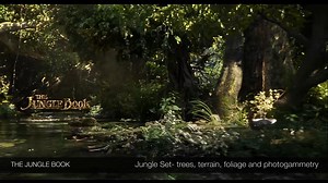 Environment reel 2019