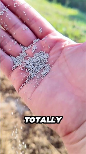 Ditching grass was the best lawn decision I’ve ever made.