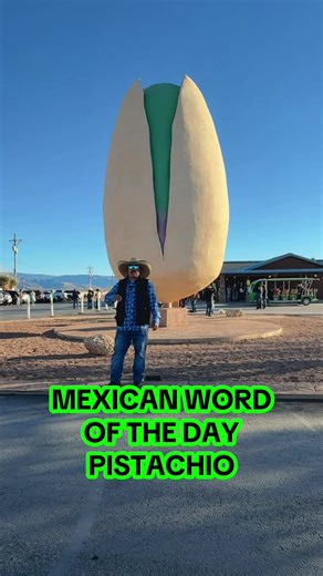 #atodamadre🏧 #mexicanwordoftheday | pistachio