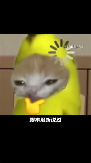 村民 ：我們真的不認識漩渦鳴人 #火影忍者 #木葉村 #漩渦鳴人 #動漫