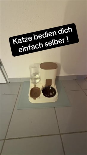 Katzen: Wasser oder Futter? Deine Meinung zählt!