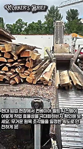 사람 열 명 몫을 하는 스마트한 나무 운반 장비 #worker #process #automation #wood #현장