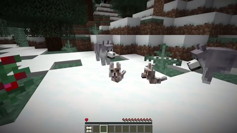 From Baby to Alpha Wolf in Minecraft Survival
