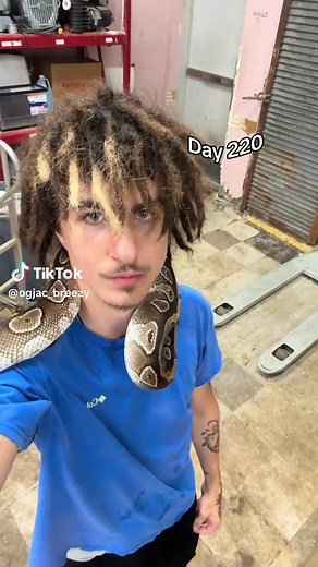 Freeform Dreads for White Guys: Getting Freeforms Day 220