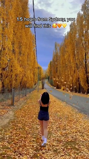 🧡Autumn 🧡. #sydney #bluemountains #viral #fyp #hot #asian #babe #beach #fun #đẹp #glowup