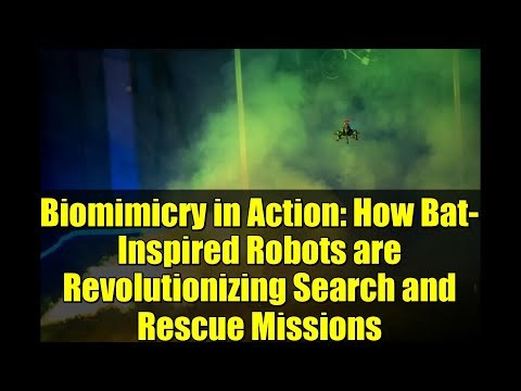 Biomimicry in Action: How Bat-Inspired Robots are Revolutionizing Search and Rescue Missions