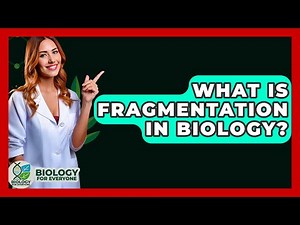 What Is Fragmentation In Biology? - Biology For Everyone