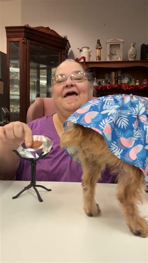 Sunflower's & Smiles Consignments on Reels