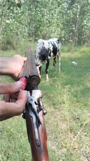 Vintage Firearm Review: A Blast from the Past | Old School Firearm Review: Does it Still Hold Up?