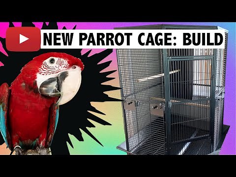 Unboxing and Building our new cage for Green Wing Macaw parrot - Liberta Raleigh cage