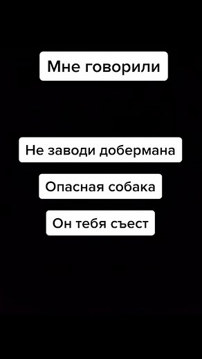 Я была права? ❤️ 🐾#doberman #dobermannpuppy #dobermans_of_tiktok #dobermanpinscher #dobermanoftiktok #dobermangang #dobermans #dobermanfans