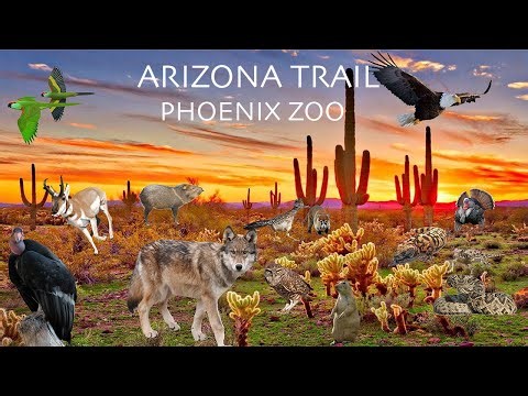 Uncaged Zoo Tours: Arizona Trail| Phoenix Zoo #uncagedzootours