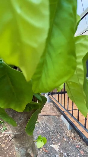 1.8K views · 537 reactions |  Descriptif vidéo – Maison modulaire 55...