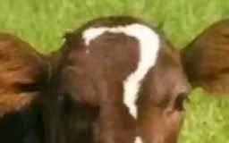 【4K珍藏】火爆全球的神曲《Despacito》！你会唱了吗？！-栉风沐雨雪雪雪-音乐外语-哔哩哔哩视频