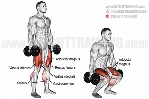 Dumbbell squat exercise instructions and video | Weight Training Guide