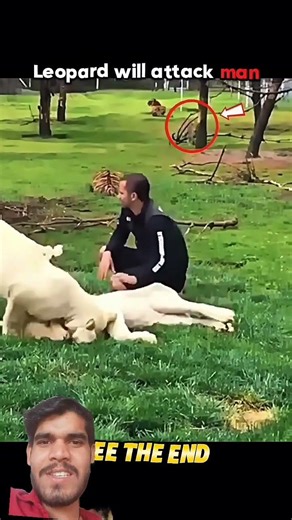 #lion #youtubeshorts 💪🏻🔥😱