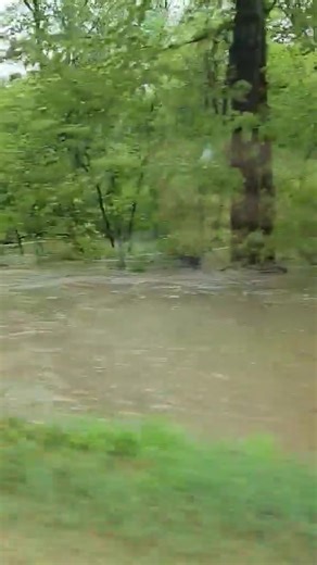 29K views · 161 reactions | Flooding today in Somerville. Video from Kala Drake. US National Weather Service Huntsville Alabama @followers #ALWX Old six mile road / highway 36 | Northeast Alabama WAFF First Alert Weather | Facebook