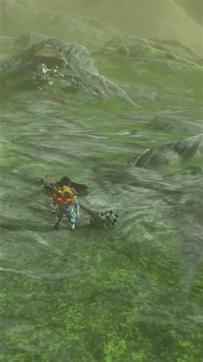 Feeding bokoblin by chance zelda totk