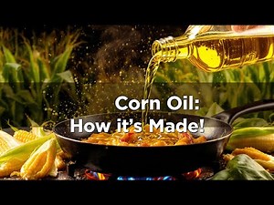 How Corn Turns Into Oil: Science Behind the Bottle