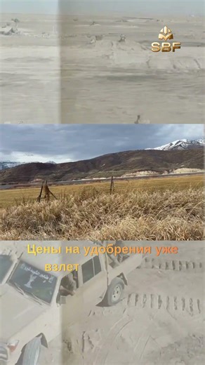 ЦЕНА КОНФЛИКТА: ПОЧЕМУ ЕДА СТАНЕТ НОВОЙ НЕФТЬЮ В 2026 ГОДУ 🌾🛢