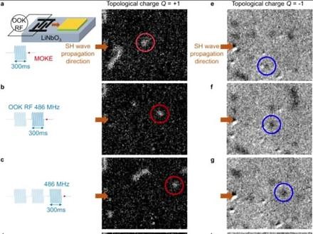 Nature重磅！声学驱动磁性skyrmions运动，为超低功率天空离子提供新的机会，开发新型自旋电子学器件！