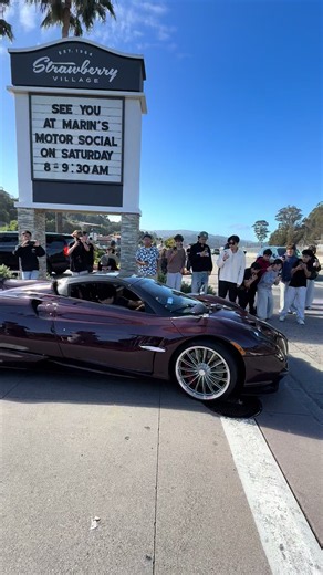 Pagani Huayra Roadster Bay Area: hypercar overview
