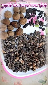 2.6M views · 23K reactions | Ten Unknown Facts About #BMW 1....