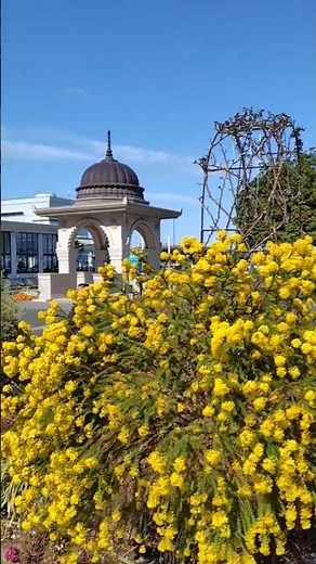～山下公園・花壇～ 横浜・山下公園 ~Yamashita Park~ Yokohama