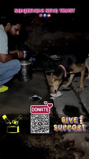 Please Support 🥺🙏🏻 All Dogs 🐕🐶 #veterinary #dogs #animalrescue #love #pets #dogsofinstagram