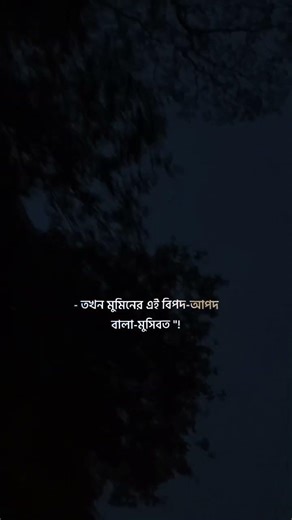 মুমিনের বিপদের ফলে কি হয়❤️❤️#shortvideo #islamic #shorts #viral #video #short #foryou #fyp