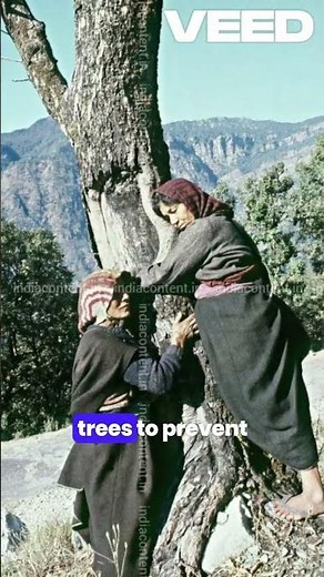 🌳 Chipko Movement: Hugging Trees to Save Forests 🌳
