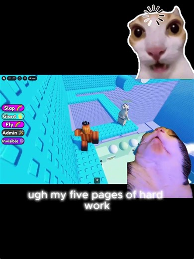 MY CAT IS A LITERALLY A HACKER 🐱💻‪@Roblox‬ #cat