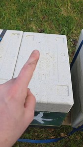 1.2K views · 567 reactions | Chomping On The Fondant | Black Mountain Honey | Facebook