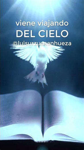 CORITOS 🔥 VIENE BAJANDO DEL CIELO UNA PALOMA BLANCA 🙏 Luis Urzúa Sanhueza